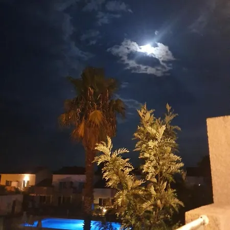 Superbe Appartement En Residence Avec Piscine Proche Plage Linguizzetta Exterior foto